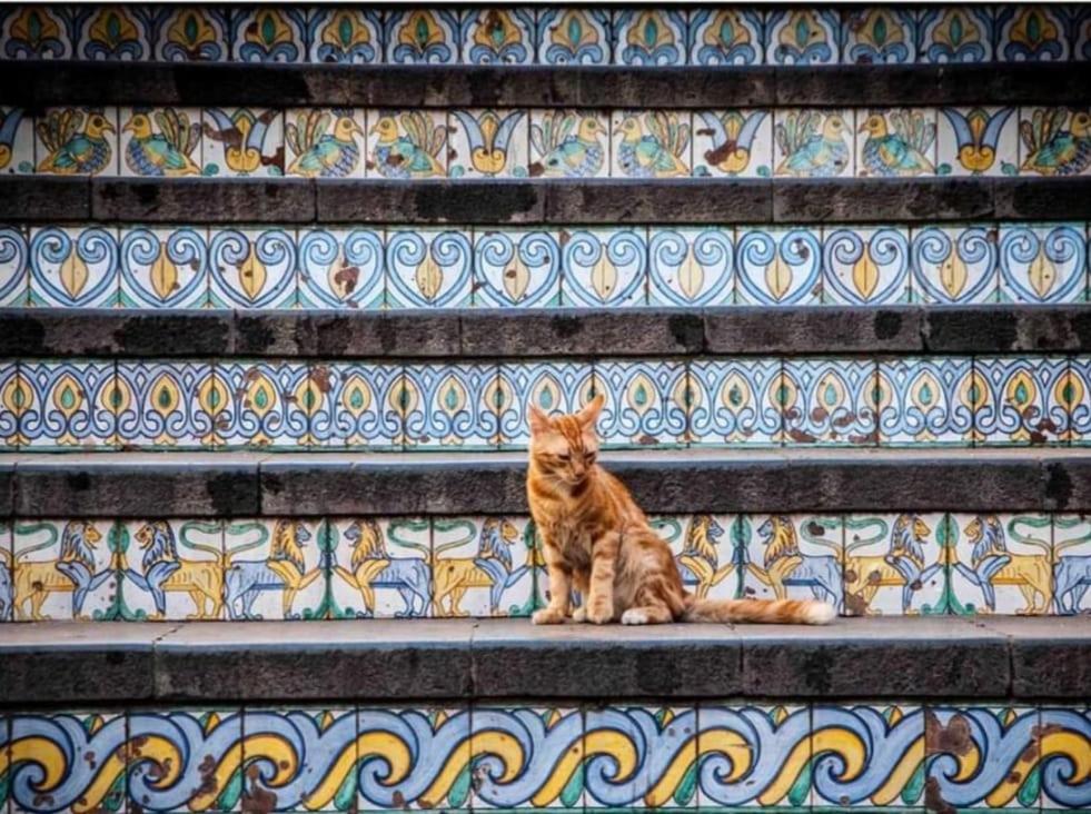 Basilico Leilighet Caltagirone Eksteriør bilde